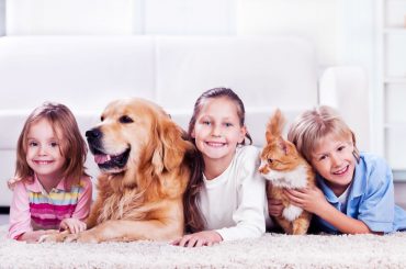 Kedi & Köpek Sahipleri için Veteriner Hekiminizden 10 Altın Tavsiye