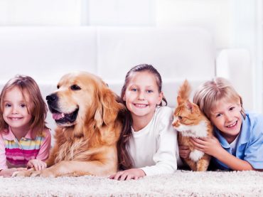 Kedi & Köpek Sahipleri için Veteriner Hekiminizden 10 Altın Tavsiye