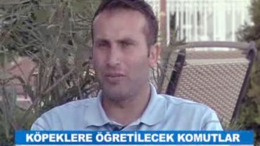 Köpeklere temel komutları öğretirken nelere dikkat etmek gerekir?